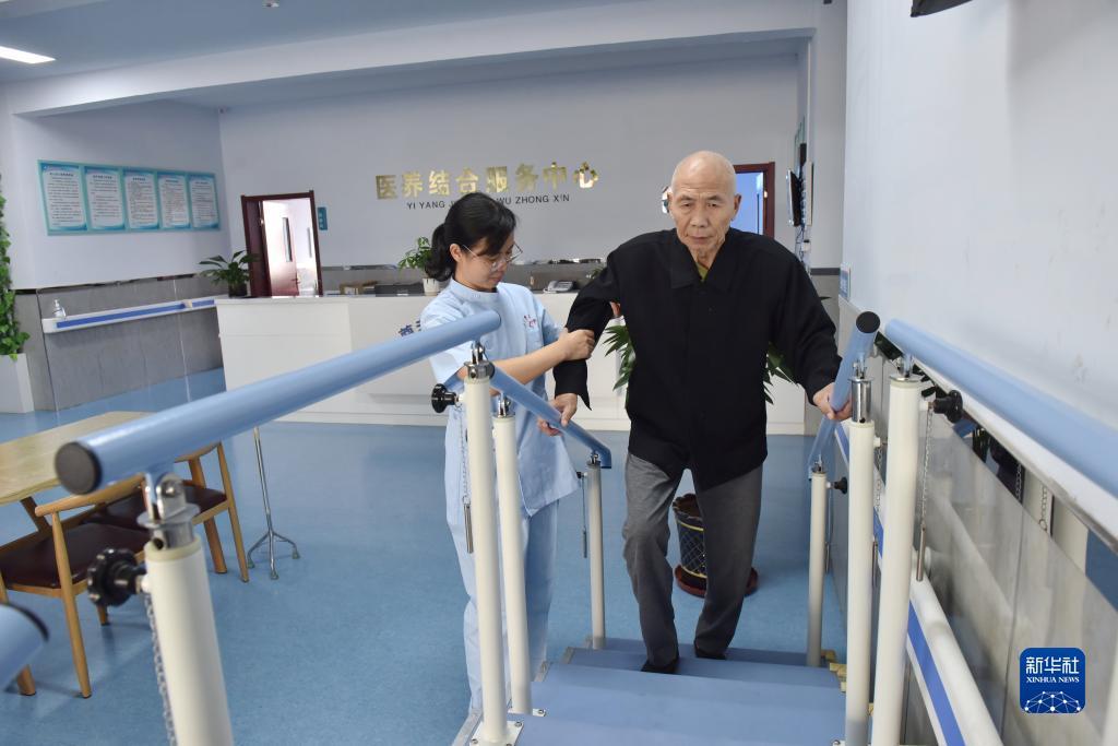白菜网站查找